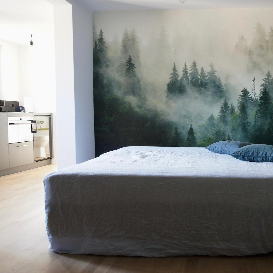 Ni Fravi Holiday Apartments, Interlaken West Buitenkant foto